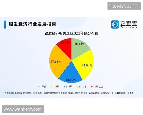 南京极限运动队的运营模式与市场热潮深度解析